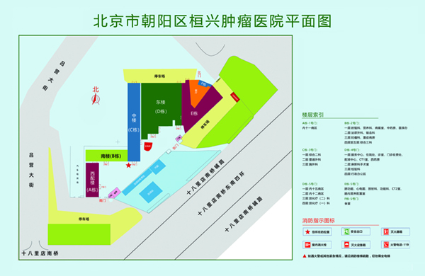 插我逼逼视频北京市朝阳区桓兴肿瘤医院平面图